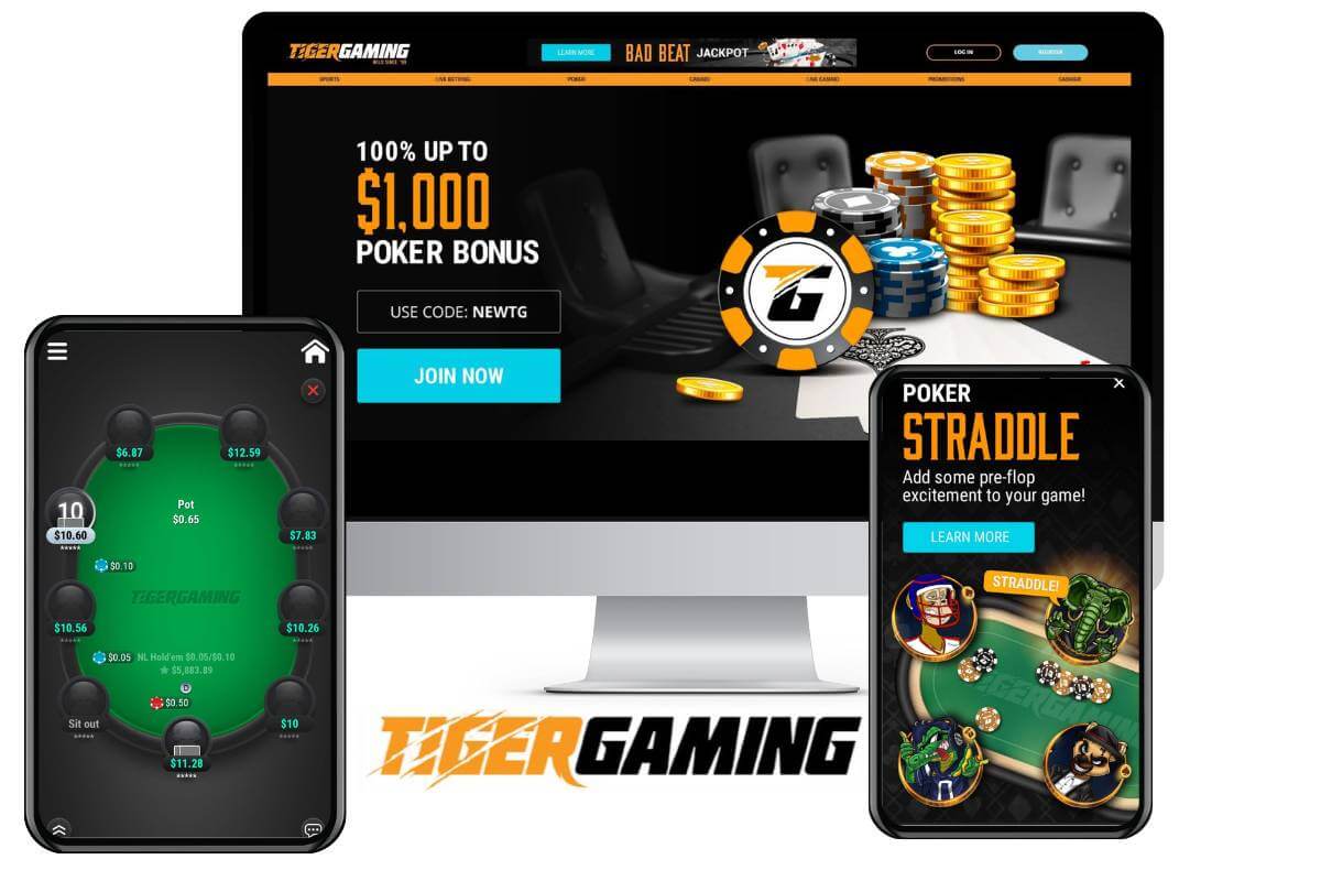 Play Tiger Gaming Poker in all devices